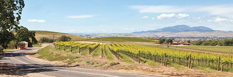 Explore Livermore Wine Country
